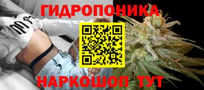 стаф Балаково